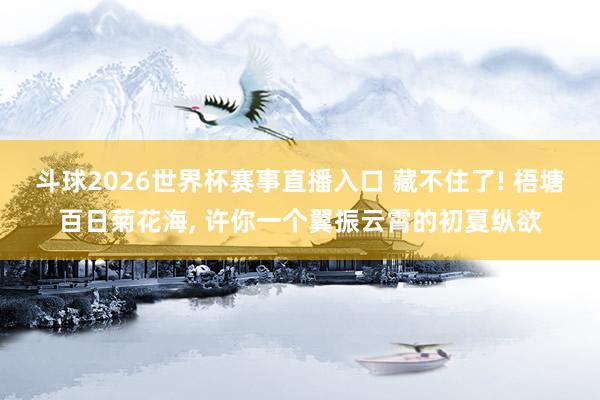 斗球2026世界杯赛事直播入口 藏不住了! 梧塘百日菊花海, 许你一个翼振云霄的初夏纵欲