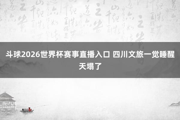 斗球2026世界杯赛事直播入口 四川文旅一觉睡醒天塌了