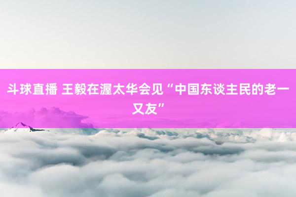 斗球直播 王毅在渥太华会见“中国东谈主民的老一又友”