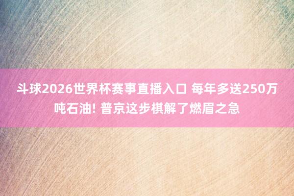 斗球2026世界杯赛事直播入口 每年多送250万吨石油! 普京这步棋解了燃眉之急