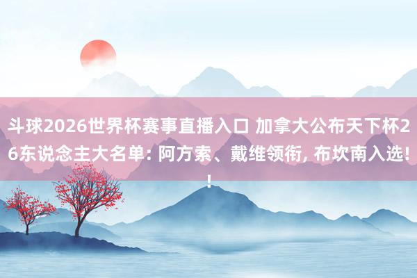 斗球2026世界杯赛事直播入口 加拿大公布天下杯26东说念主大名单: 阿方索、戴维领衔, 布坎南入选!