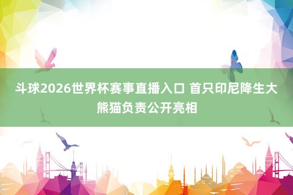 斗球2026世界杯赛事直播入口 首只印尼降生大熊猫负责公开亮相