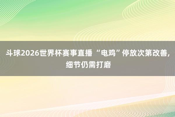 斗球2026世界杯赛事直播 “电鸡”停放次第改善, 细节仍需打磨