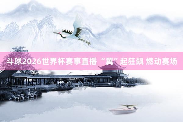 斗球2026世界杯赛事直播 “翼”起狂飙 燃动赛场