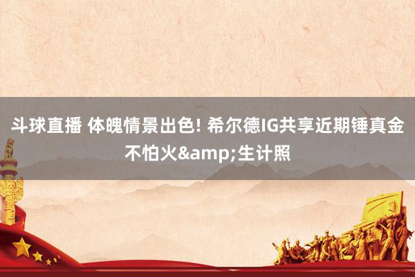 斗球直播 体魄情景出色! 希尔德IG共享近期锤真金不怕火&生计照