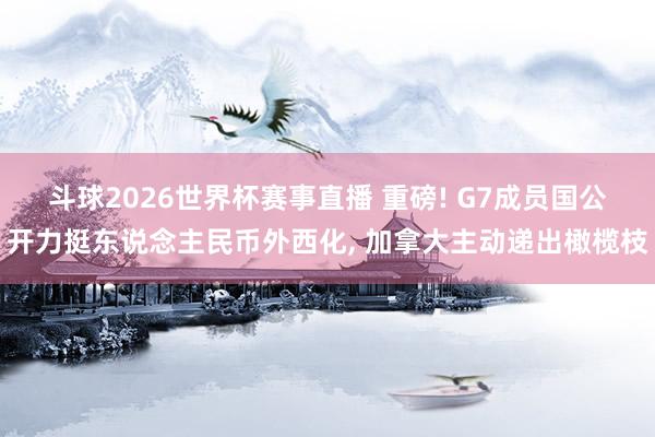 斗球2026世界杯赛事直播 重磅! G7成员国公开力挺东说念主民币外西化, 加拿大主动递出橄榄枝