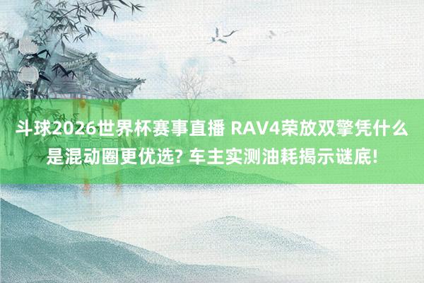 斗球2026世界杯赛事直播 RAV4荣放双擎凭什么是混动圈更优选? 车主实测油耗揭示谜底!