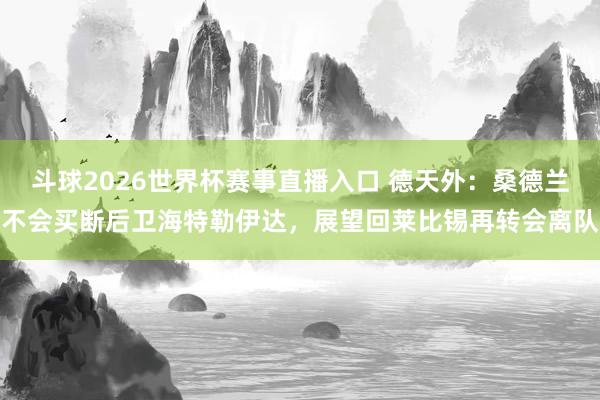 斗球2026世界杯赛事直播入口 德天外：桑德兰不会买断后卫海特勒伊达，展望回莱比锡再转会离队