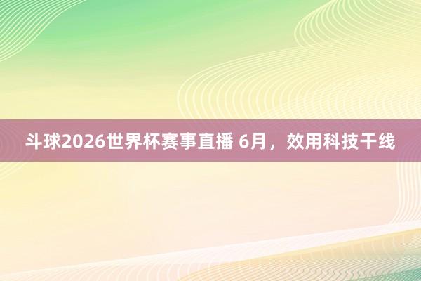 斗球2026世界杯赛事直播 6月，效用科技干线