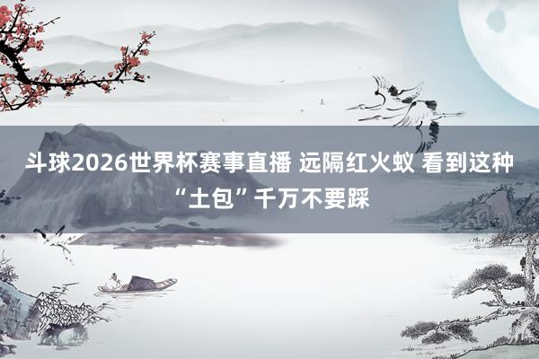 斗球2026世界杯赛事直播 远隔红火蚁 看到这种“土包”千万不要踩