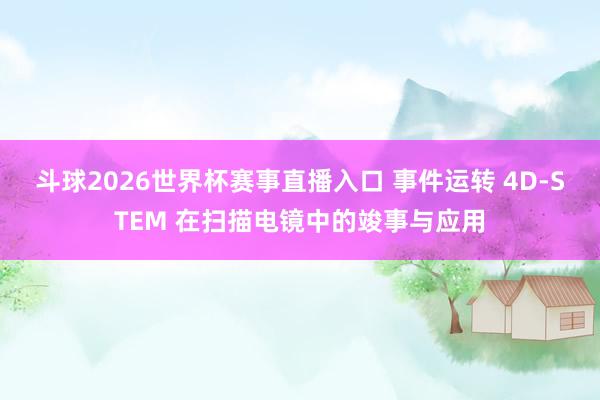 斗球2026世界杯赛事直播入口 事件运转 4D-STEM 在扫描电镜中的竣事与应用