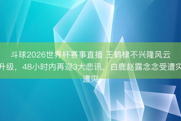 斗球2026世界杯赛事直播 王鹤棣不兴隆风云升级，48小时内再迎3大悲讯，白鹿赵露念念受遭灾