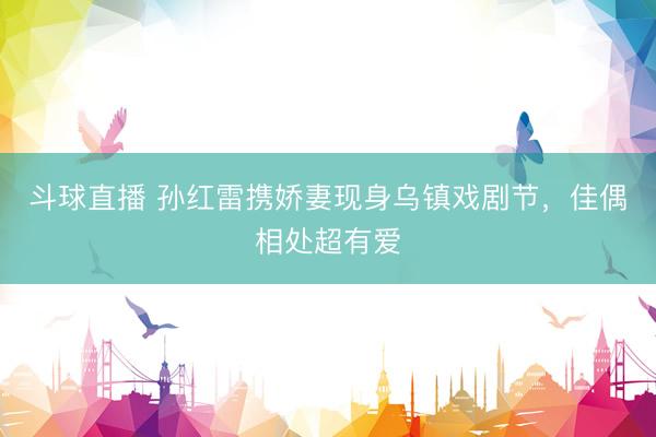 斗球直播 孙红雷携娇妻现身乌镇戏剧节，佳偶相处超有爱