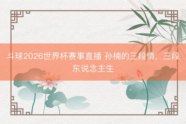 斗球2026世界杯赛事直播 孙楠的三段情，三段东说念主生