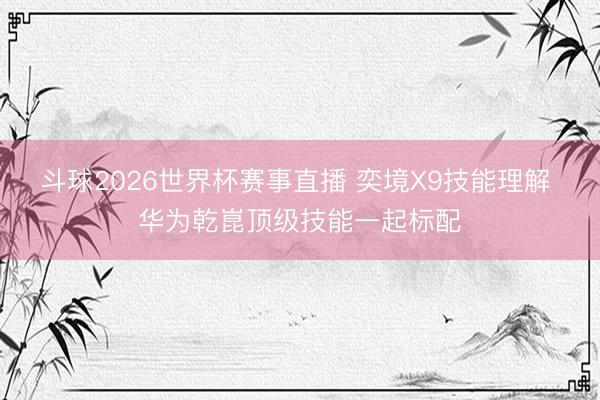 斗球2026世界杯赛事直播 奕境X9技能理解 华为乾崑顶级技能一起标配