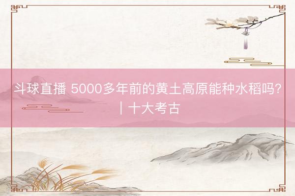 斗球直播 5000多年前的黄土高原能种水稻吗？｜十大考古